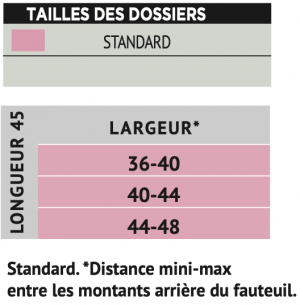 Image Liberty (Dossiers Vicair, NXT, Symetric Design : Positionnement )